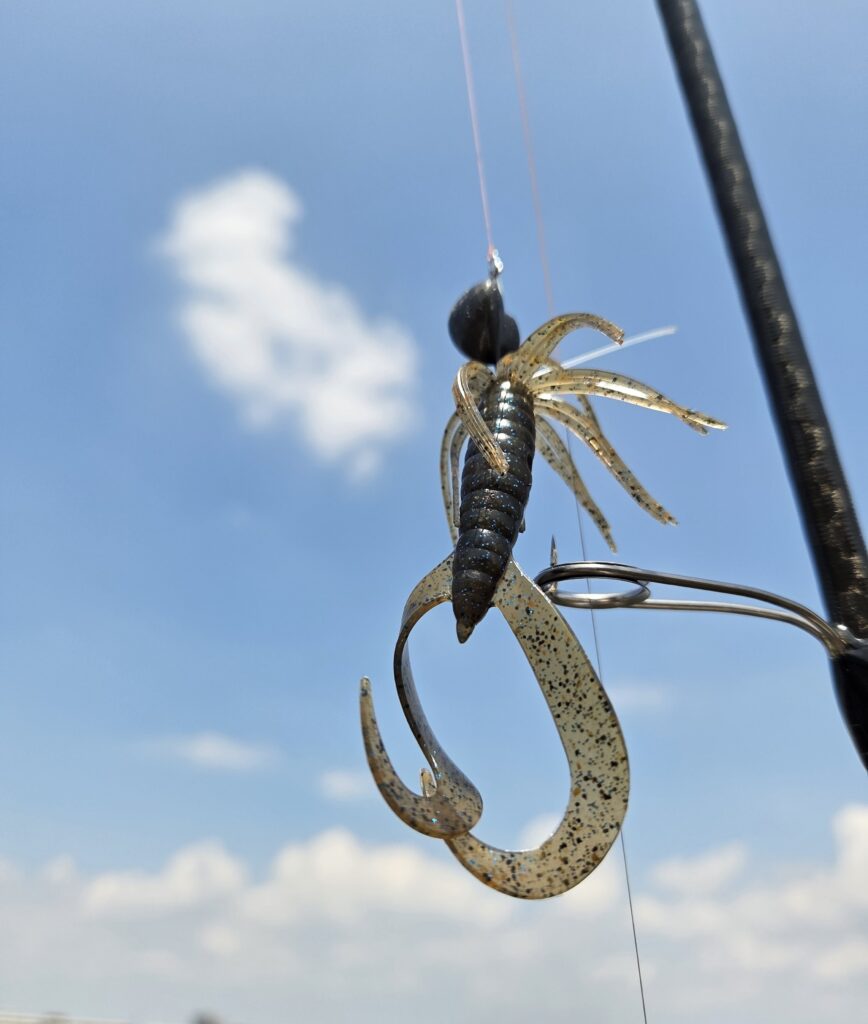 ケイテック・リトルスパイダーの画像