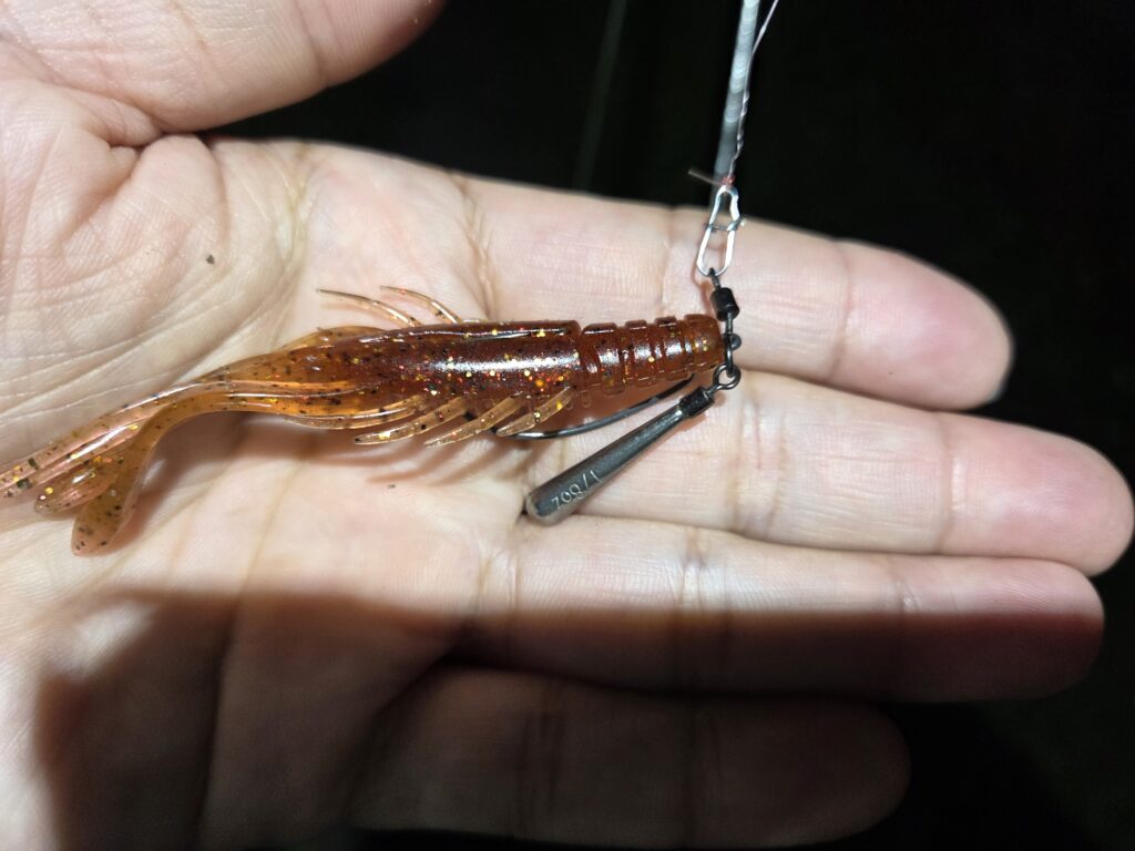 シルバーウルフアーバンシュリンプ画像