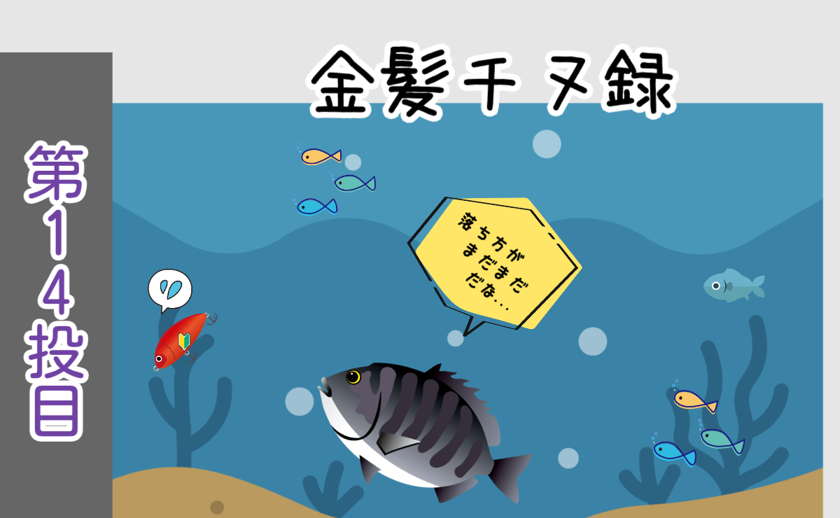 金髪チヌ録・第14投目