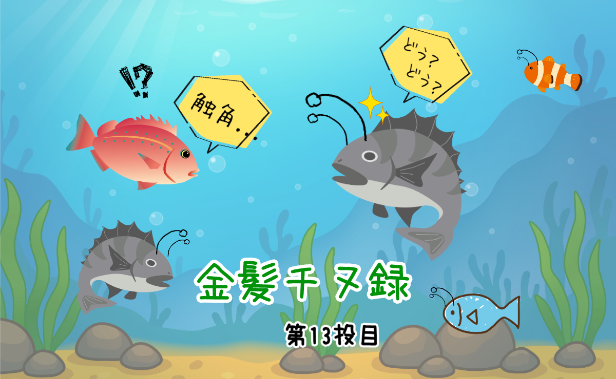 金髪チヌ録・第13投目