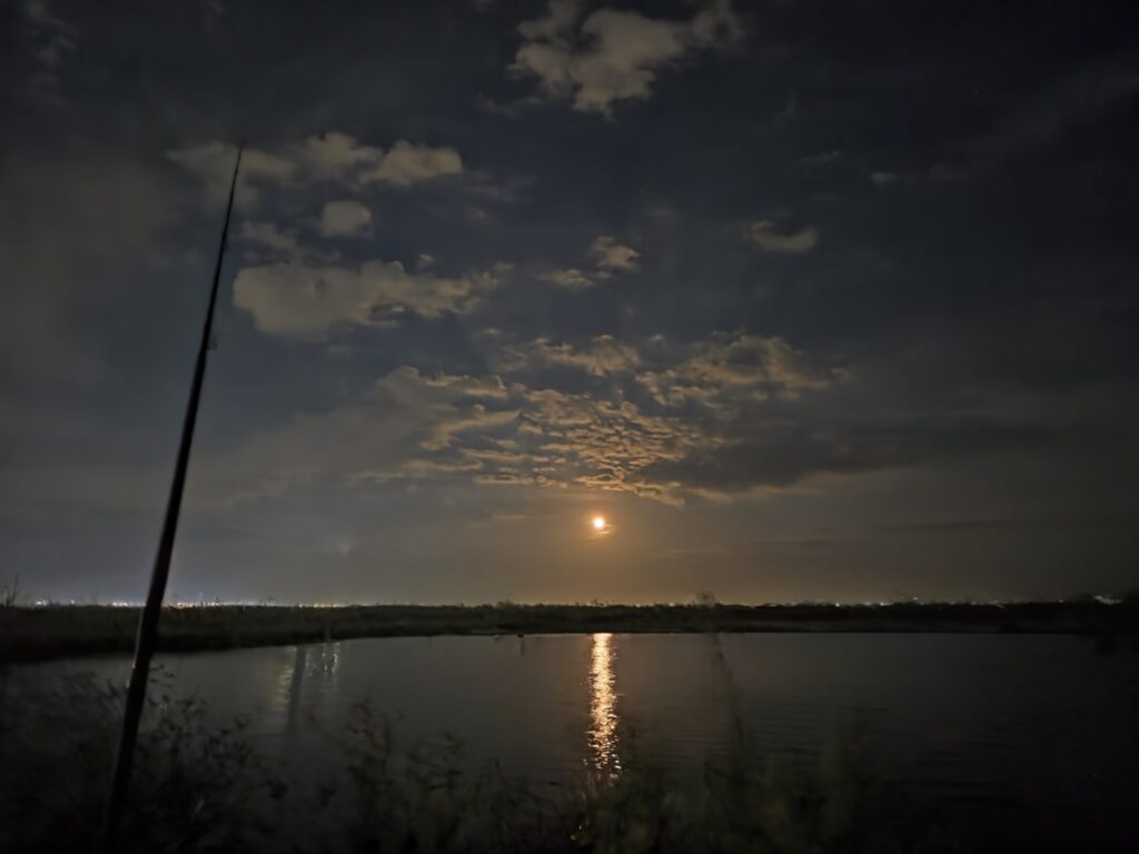 秋の夕暮れ。新岡山港周辺にて。