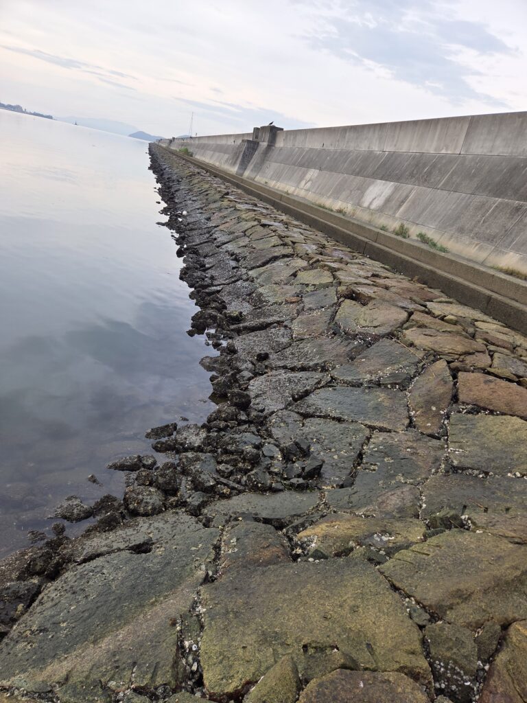 吉井川水系干潮時の画像