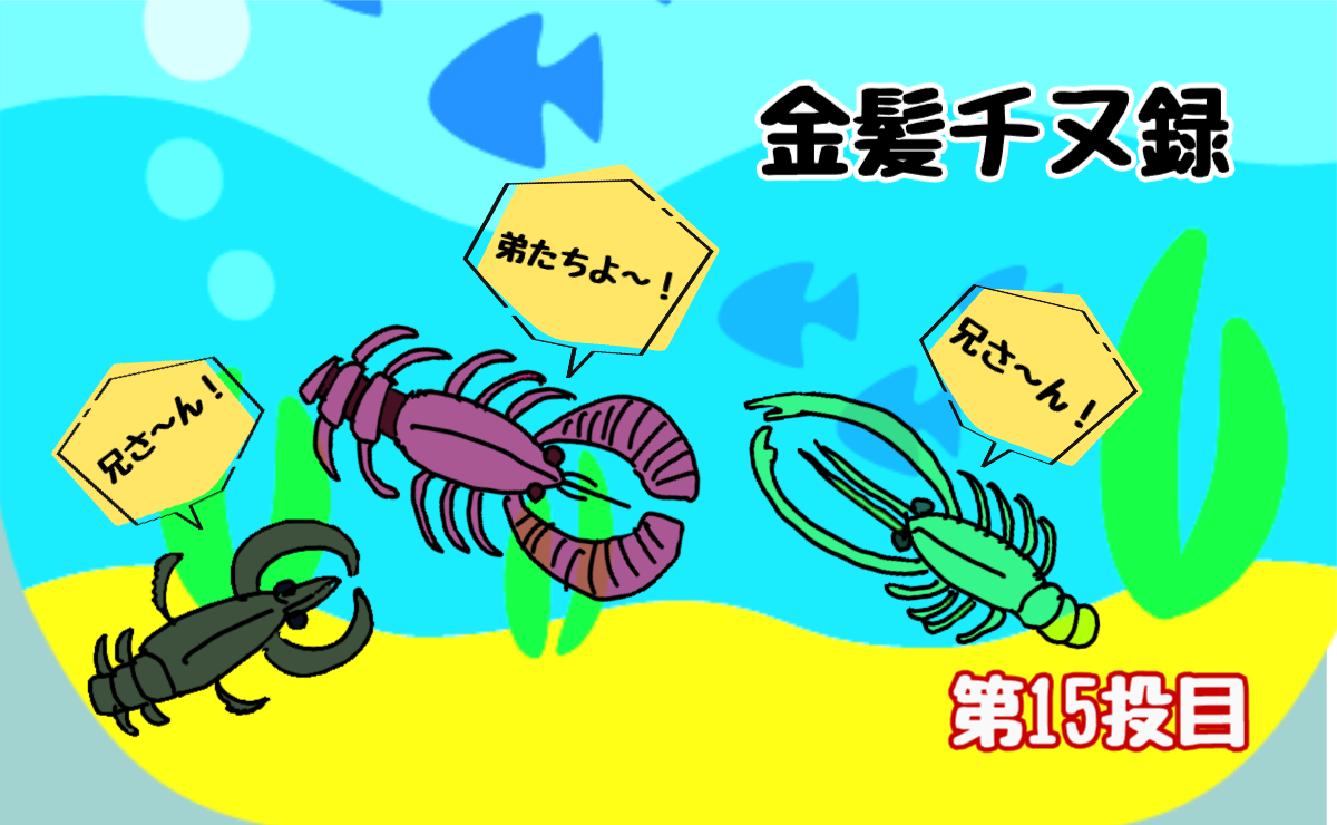 金髪チヌ録・第15投目